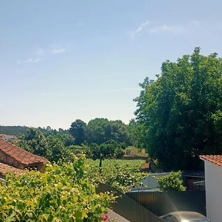 Green House_quartos Privados Em Valongo Do Vouga - Agueda Aguieira